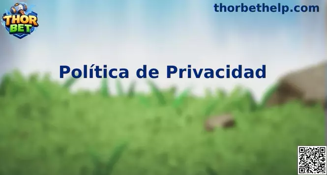 Thor Bet privacidad México
